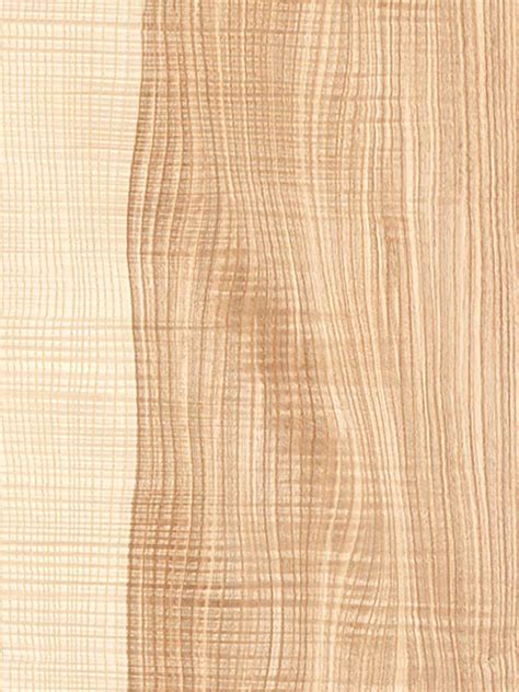 Ash Olive Wood Veneer Dooge Veneers