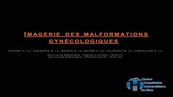 AGF WP 1 Imagerie des malformations gynécologiques