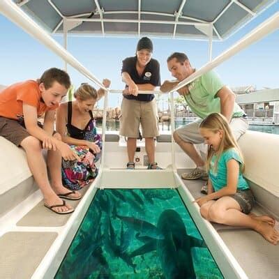 Amazing Activities in Gold Coast Queensland – Hello Kids Fun