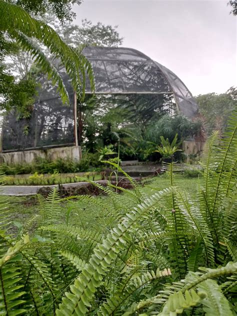 Kebun Raya Indrokilo Tempat Wisata Edukasi Ramah Anak Di Boyolali