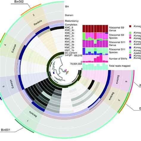 Comparison Of Bin Results From Metagenome Sequences Using Anvi O