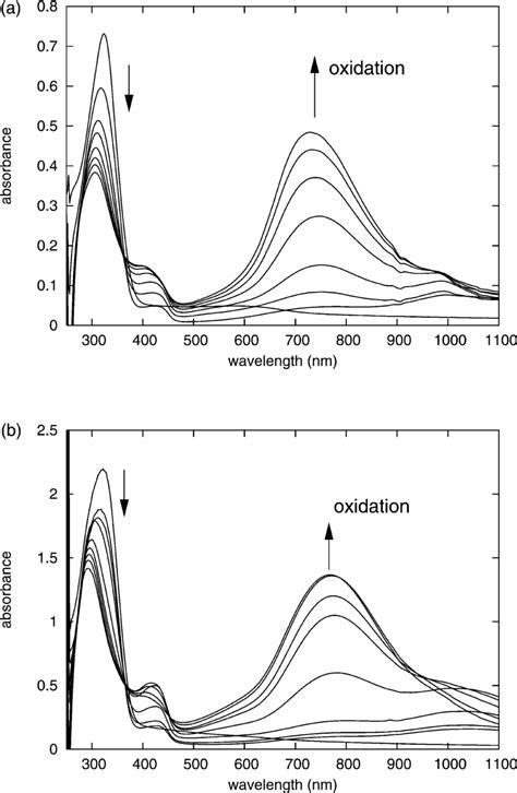 The Uv Vis Nir Spectra In Dmso Of A Nh 2 Nh 2 Tetramer 3 B Phnh