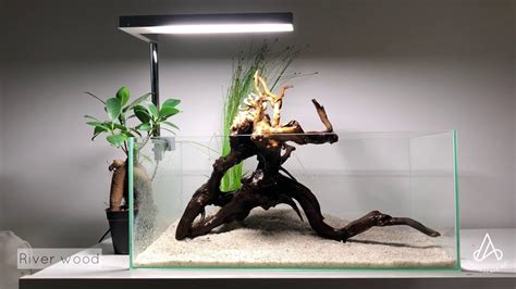 Betta Tank Setup Aquascape No Filter No CO2 Low Cost Low