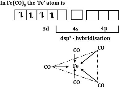 The Correct Structure Of FeCO5 Is