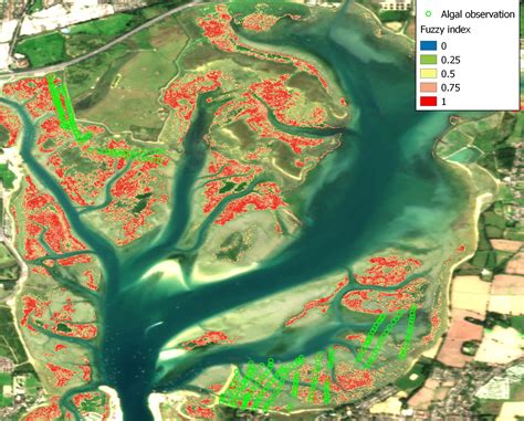 Algal Mat Seaweed Mapping Toolkit Rantrans Rapid Reduction Of Nutrients In Transitional Waters