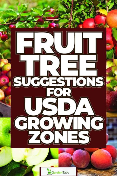 Fruit Tree Suggestions for USDA Growing Zones 1-13