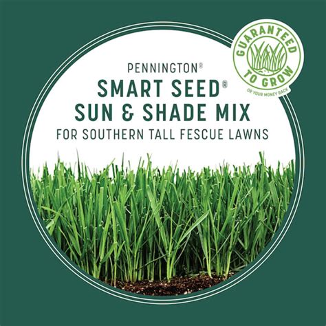 Pennington Smart Seed 3 Lbs Sun And Shade South Grass Seed And Fertilizer 100543722 The Home