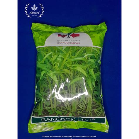 Jual Benih Bibit Kangkung Bangkok Lp Kemasan Kg Original Panah Merah