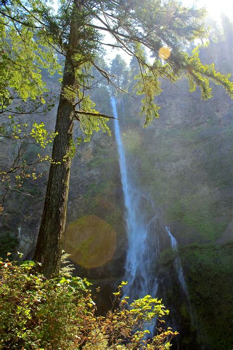 Hiking Trail. Multnomah Falls, OR | Multnomah falls, Hiking trails, Hiking