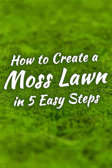 How To Create A Moss Lawn In 5 Easy Steps