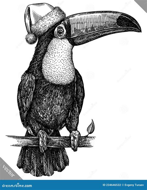 Black And White Engrave Isolated Toucan Vector Illustration Stock