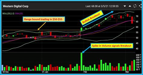 How To Use Webull Volume Analysis Successful Tradings