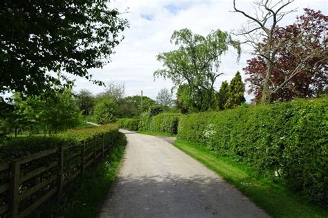 Houses Near Cuddy Shaw Reach DS Pugh Cc By Sa 2 0 Geograph Britain