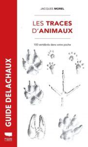 Guides De R F Rence Pour Identifier Les Traces D Animaux Facilement