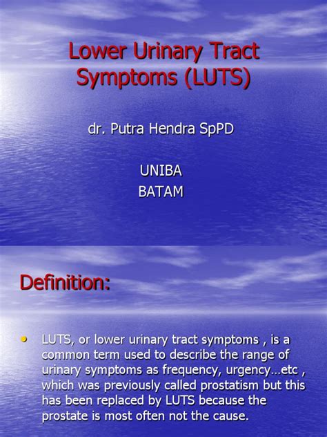 Understanding Lower Urinary Tract Symptoms A Comprehensive Review Of