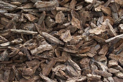 Pine Bark Chips Mulch Background Stock Photo Image Of Texture