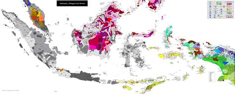 Malay Archipelago linguistic map, might have a weird background : r/MapPorn