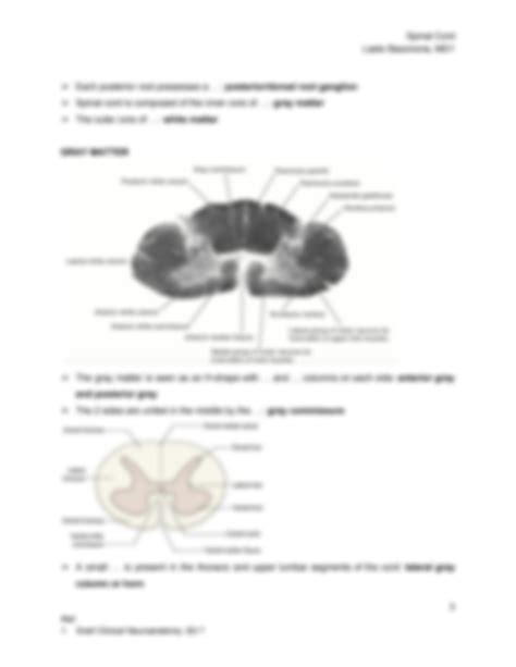 Solution Spinal Cord Anatomy Physiology And Clinicals Studypool