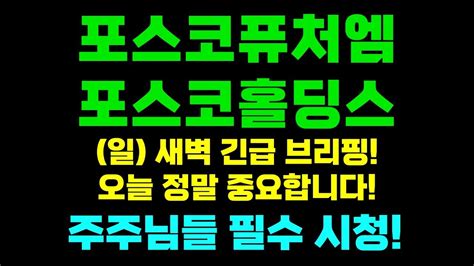 포스코퓨처엠 Posco홀딩스 긴급 긴급속보 포스코홀딩스 최근 외국이이 매수하는 이유 퓨처엠 공매도 손실 무려 3천억