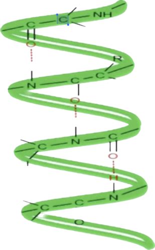 Protein Structue Folding Flashcards Quizlet