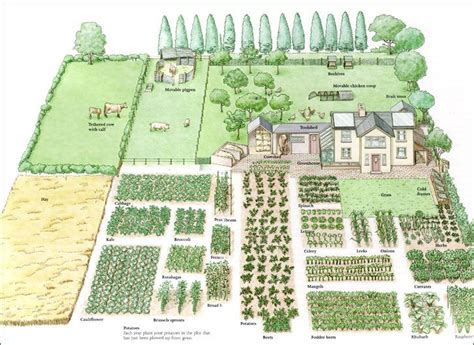 25+ best Homestead Layout ideas on Pinterest | Farm layout, Small farm ...