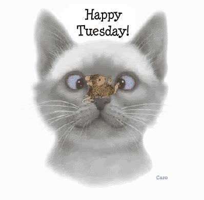 Free Silly Tuesday Cliparts, Download Free Silly Tuesday Cliparts png ...