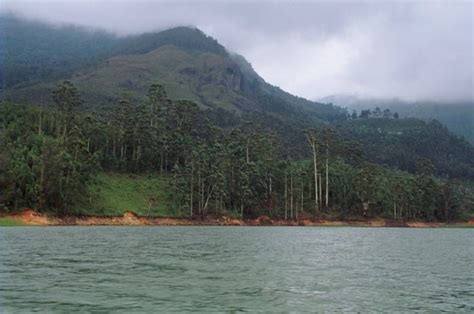 Munnar : Munnar Lake | Munnar, Lake, Travel photos