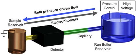 Gradient Elution Moving Boundary Electrophoresis Gembe