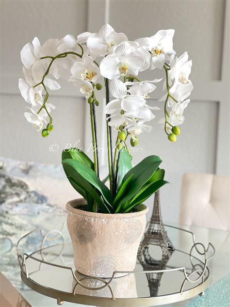 White 3 Stems Phalaenopsis Orchid Arrangement Real Touch Etsy