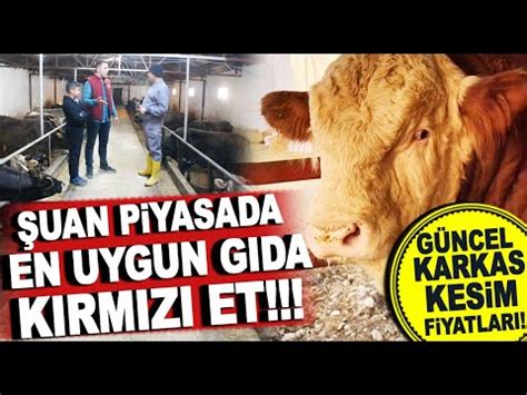 GÜNCEL KARKAS ET VE KESİM FİYATLARI DOĞU DA CANLI HAYVAN PAZARI