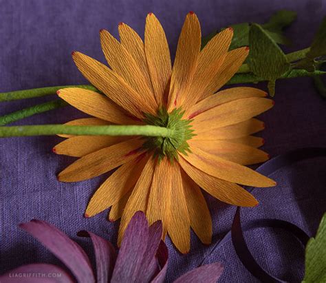 Crepe Paper African Daisy Member Make Workshop Lia Griffith