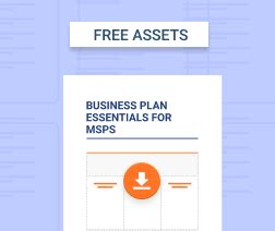 MSP Business Plan Overview