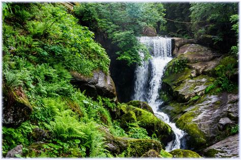 Black Forest National Park (Nationalpark Schwarzwald)