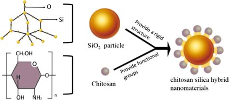 Preparation Of Chitosan Silica Hybrid Nanomaterials For Cellulase Download Scientific Diagram