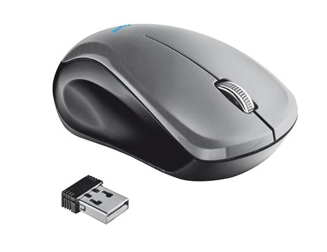 Trust Mui Souris Sans Fil Pour Pc Et Pc Portable Amazon Fr Informatique