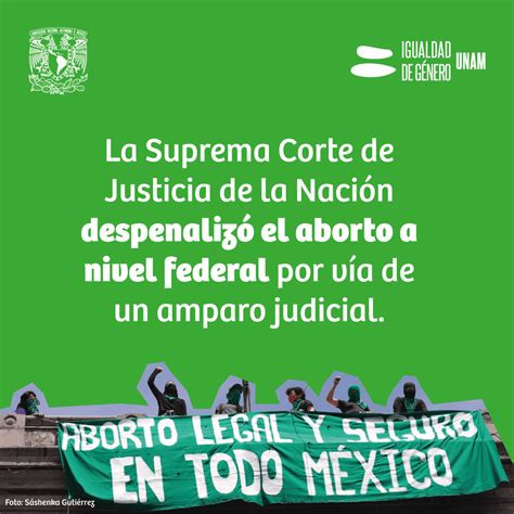 Despenalización Del Aborto En México 2023 Coordinación Para La Igualdad De Género Unam