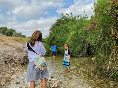 Summer Fun: A Waterfall River at Ein Aviel - Hiking the Holyland