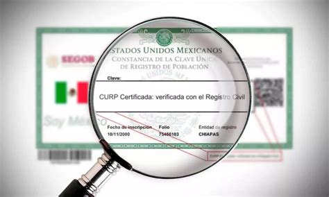 C Mo Saber Si Mi Curp Est Certificada Este Es El Detalle Para