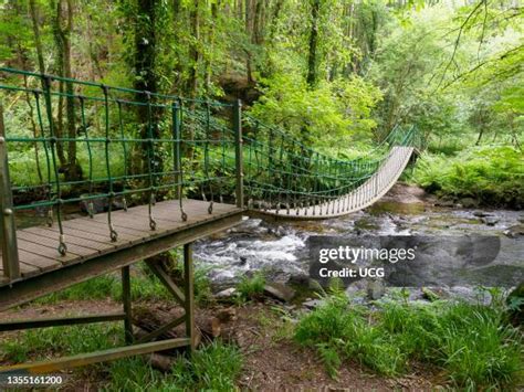 River Lynher Photos And Premium High Res Pictures Getty Images