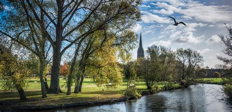 Travel to Salisbury - The Stonehenge Tour