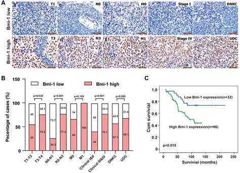 Hairy Gene Homolog Increases Nasopharyngeal Carcinoma Cell Stemness By