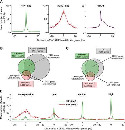 A Hierarchy Of H3k4me3 And H3k27me3 Acquisition In Spatial Gene