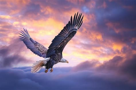 Premium Photo Soaring Bald Eagle Commands The Skies Its Silhouette