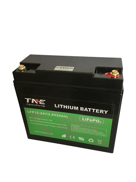 Deep Cycle Rechargeable Li Ion 12V 24ah LiFePO4 Lithium Power Agv