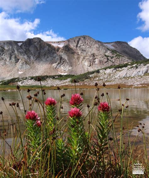 Native American Quotes About Nature. QuotesGram