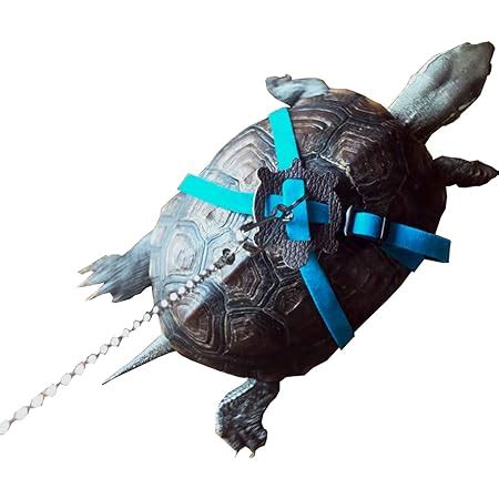 Amazon Ebamaz Leather Harness Strap For Tortoise Turtle Pet