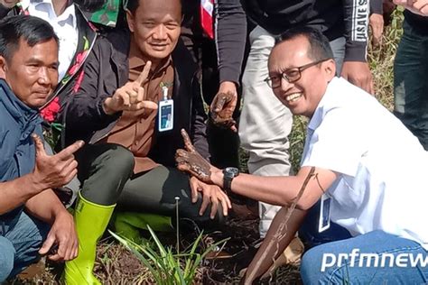 Perhutani Tanam Pohon Di Ranca Upas Bandung Prfm News