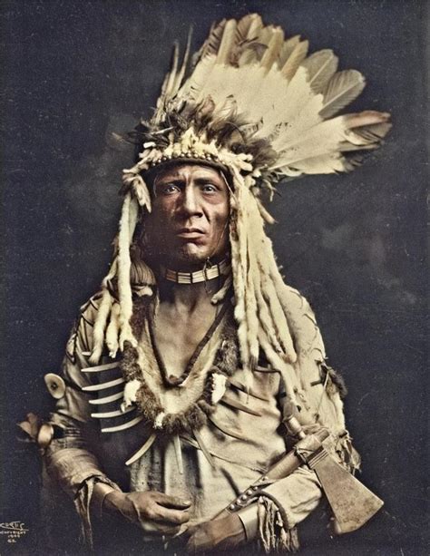 1900 Old Photo Native American Portrait Tomahawk Piegan Headdress