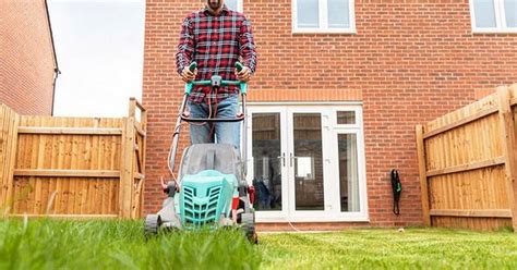 Lawn Mowing Technique Will Stop Weeds Say Experts At Rhs Leicestershire Live