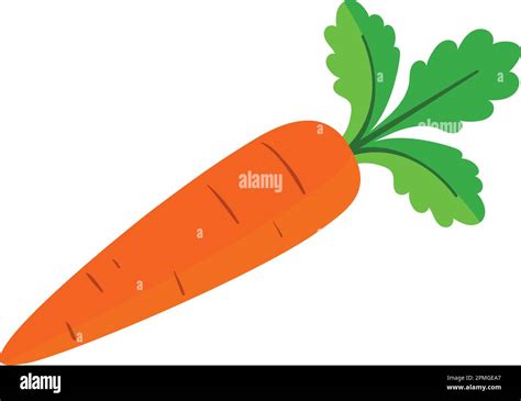 Clipart Vector Carrot Stock Vector Image And Art Alamy